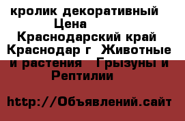 кролик декоративный › Цена ­ 700 - Краснодарский край, Краснодар г. Животные и растения » Грызуны и Рептилии   
